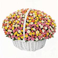 Премиум букет из: Розы в Зеленодольске