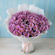 Букет цветов из:  Хризантемы в Зеленодольске