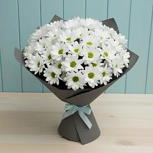 Букет цветов из:  Хризантемы #REPLACE_PRED# Зеленодольске