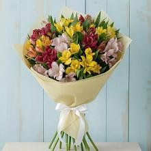 Букет цветов из:  Альстромерии в Зеленодольске