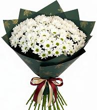 Букет цветов из:  Хризантемы #REPLACE_PRED# Зеленодольске