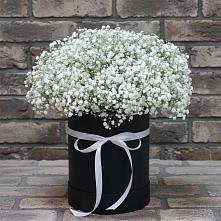 Цветочная композиция из Гипсофила в шляпной коробке #REPLACE_PRED# Зеленодольске