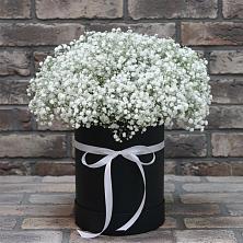 Цветочная композиция из Гипсофила в шляпной коробке в Зеленодольске