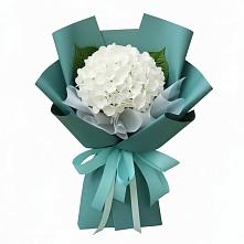 Букет цветов из:  Гортензия в Зеленодольске